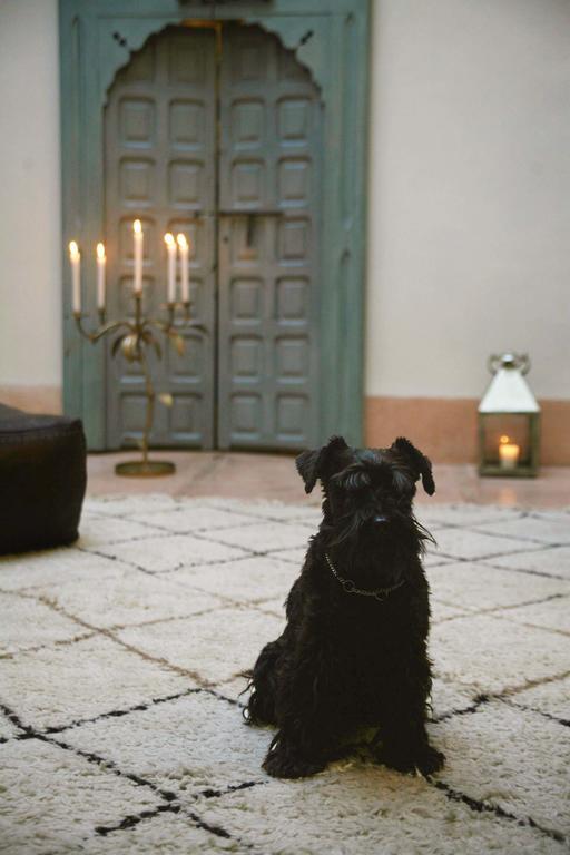 Riad Le J Marrakesh Exterior photo