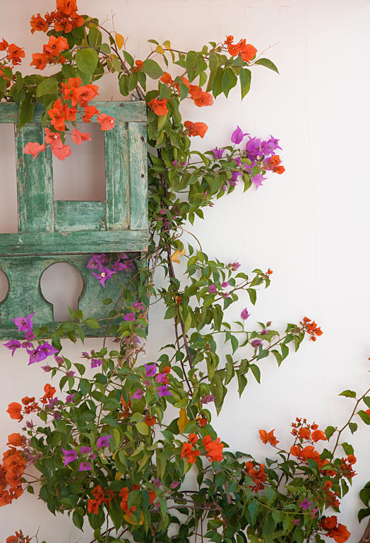 Riad Le J Marrakesh Exterior photo